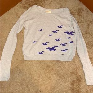 Hollister Sweater small